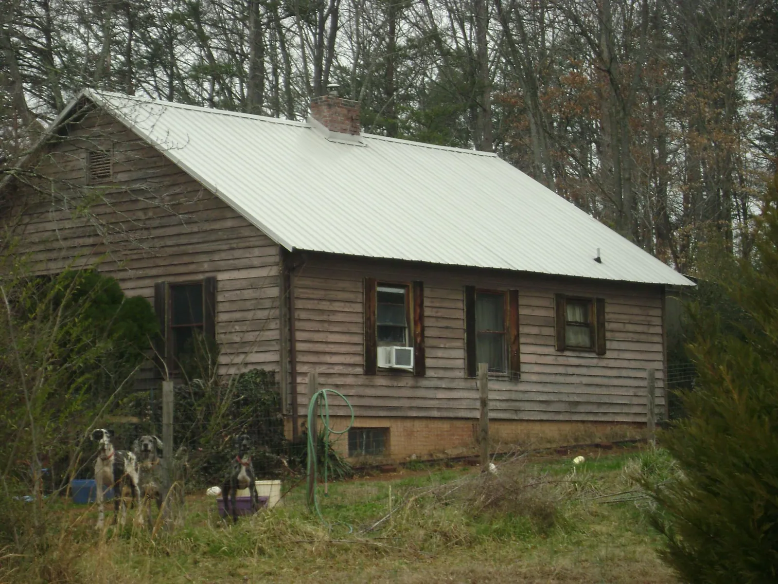 White metal roof on an old wood sided farmhouse, from a Asphalt Shingle Roof Repair job in Hancock